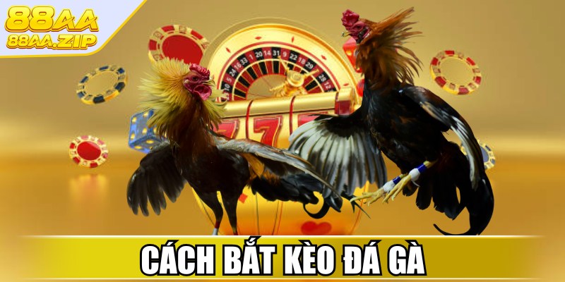 Cách bắt kèo đá gà