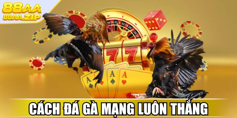 Cách đá gà mạng luôn thắng