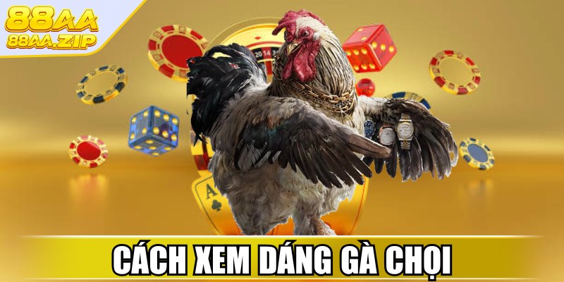Cách xem dáng gà chọi